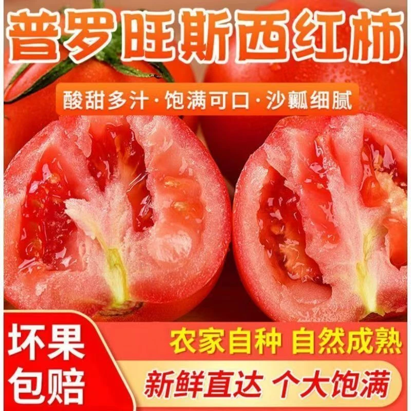 【顺丰京东包邮】陕西泾阳普罗旺斯西红柿水果沙瓤番茄洋柿子