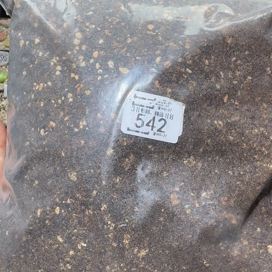 Ssss精品生石花542