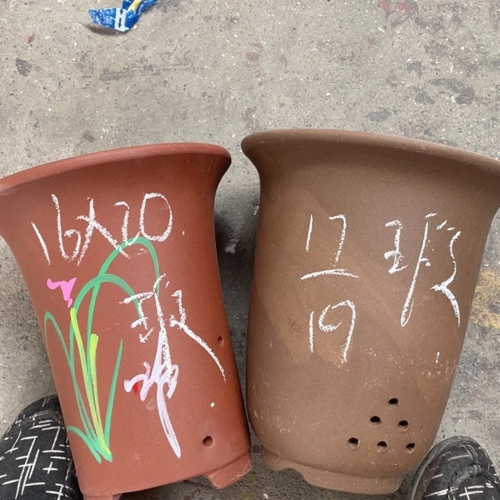 紫砂紫砂紫砂紫砂紫砂