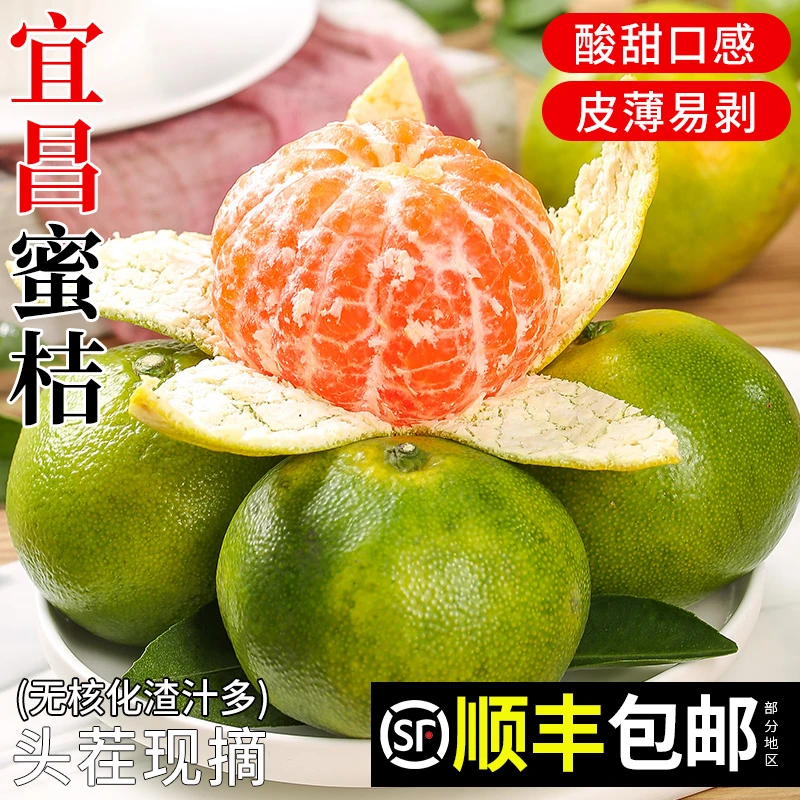 【顺丰包邮】宜昌青皮蜜桔5斤新鲜时令水果现摘农家自种柑橘子酸甜