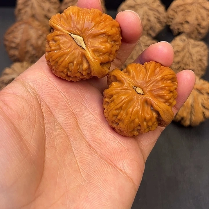 核桃秦岭突突突突突突18