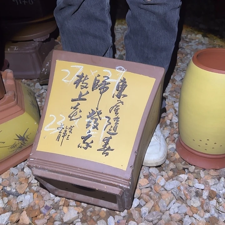 紫砂花盆紫砂花盆