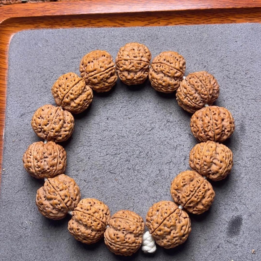 菩提30号金刚菩提爆肉梁梅花23