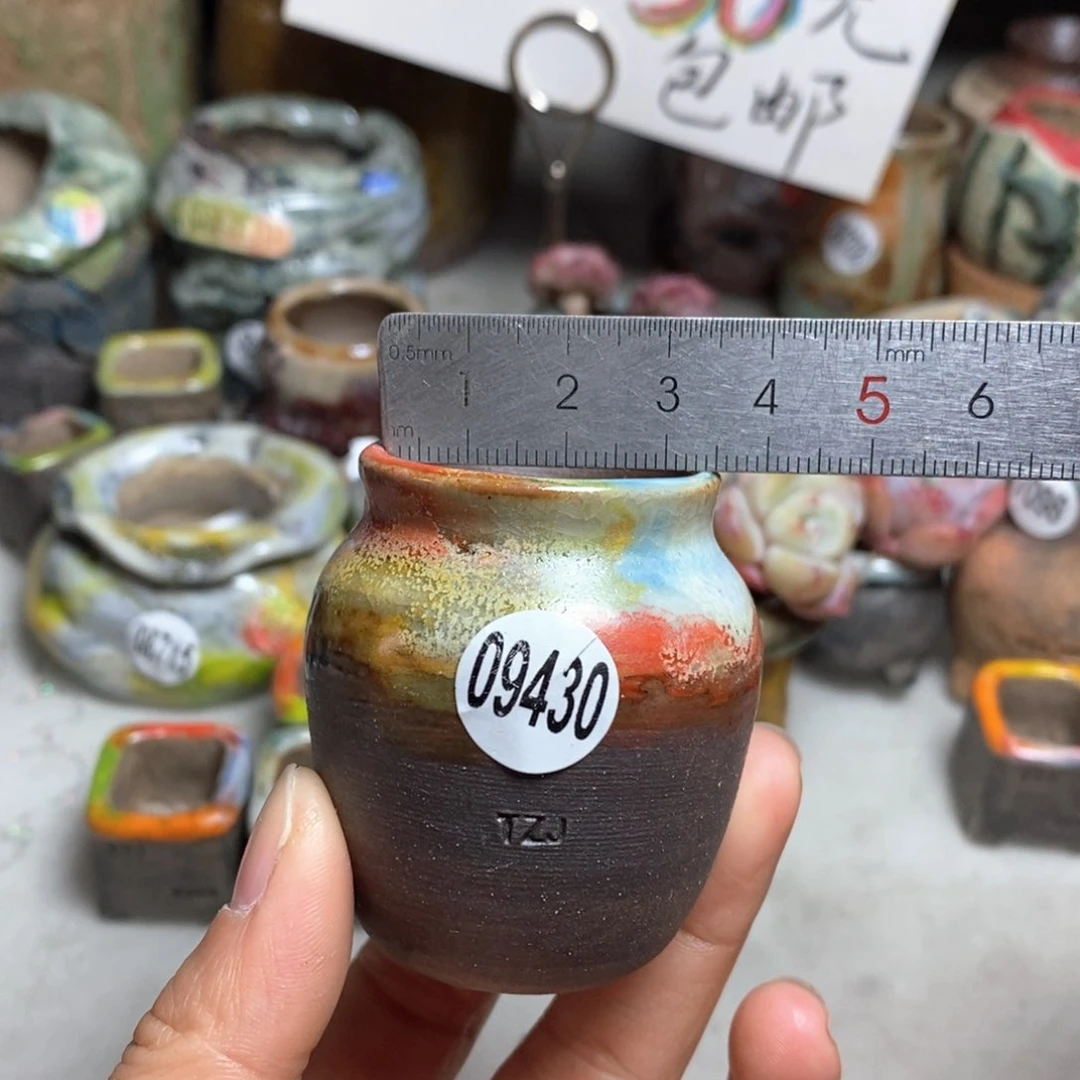 花盆拍5送一个小礼物