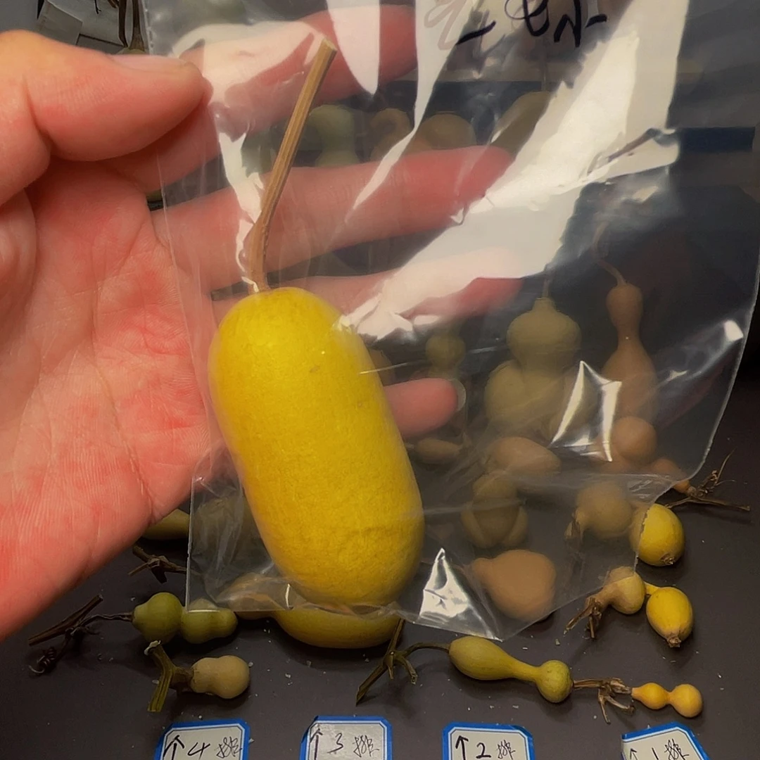 木啊啊啊啊啊啊啊啊