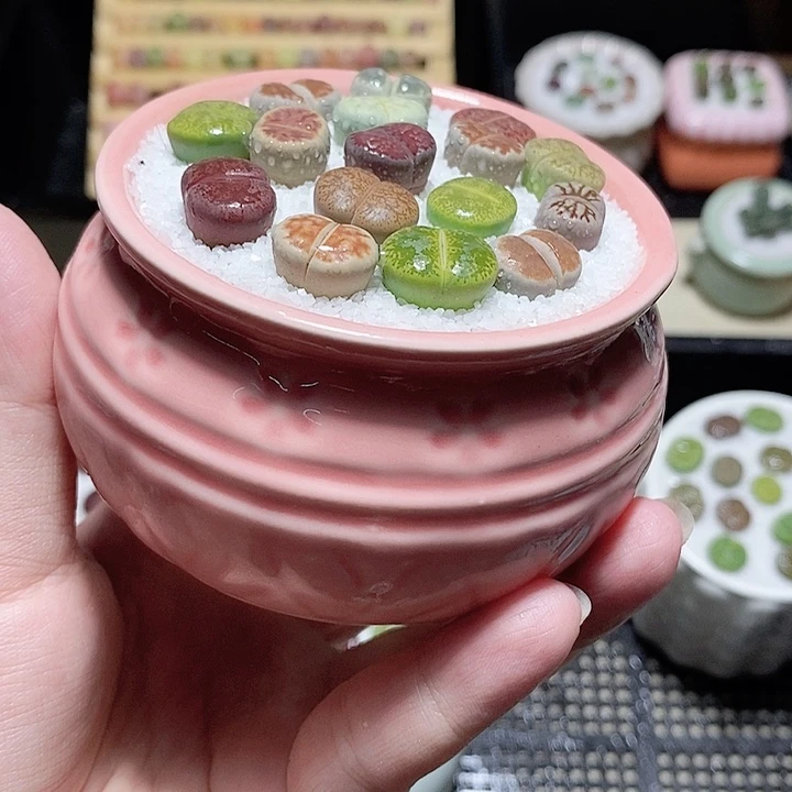 精美盆栽 一物一拍1326