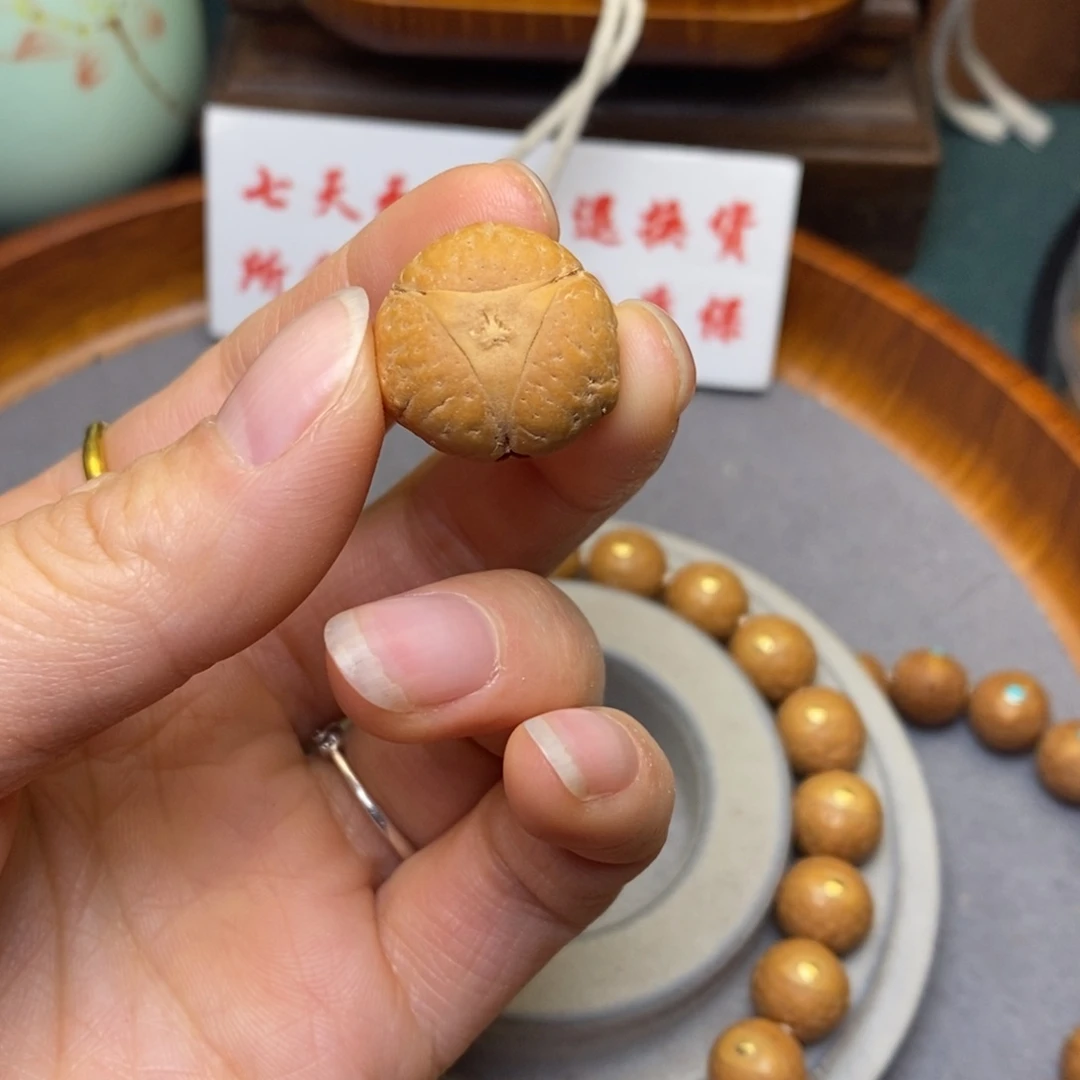 凤眼菩提手串碩*素龙眼