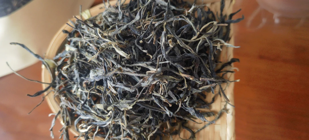 2024云南易武老何寨二春生茶