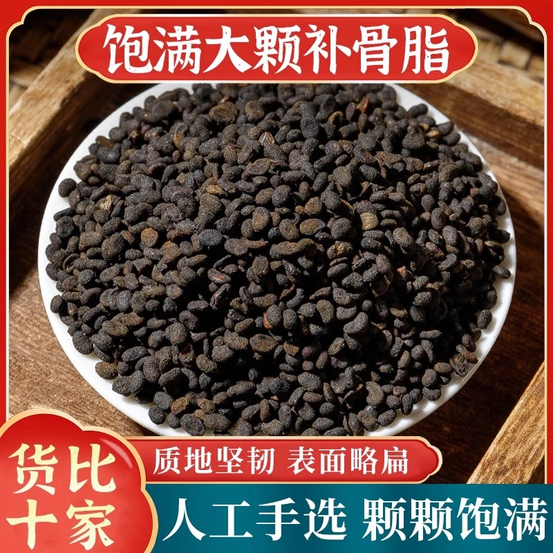 补骨脂正品胡韭子精选新货破故纸黑故子泡水煮水
