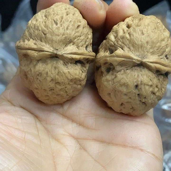 文玩核桃把件云南铁核桃基地82