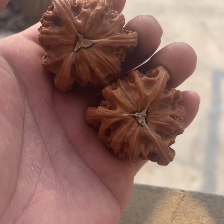 松***哥文玩核桃吊坠三棱三棱三棱三棱