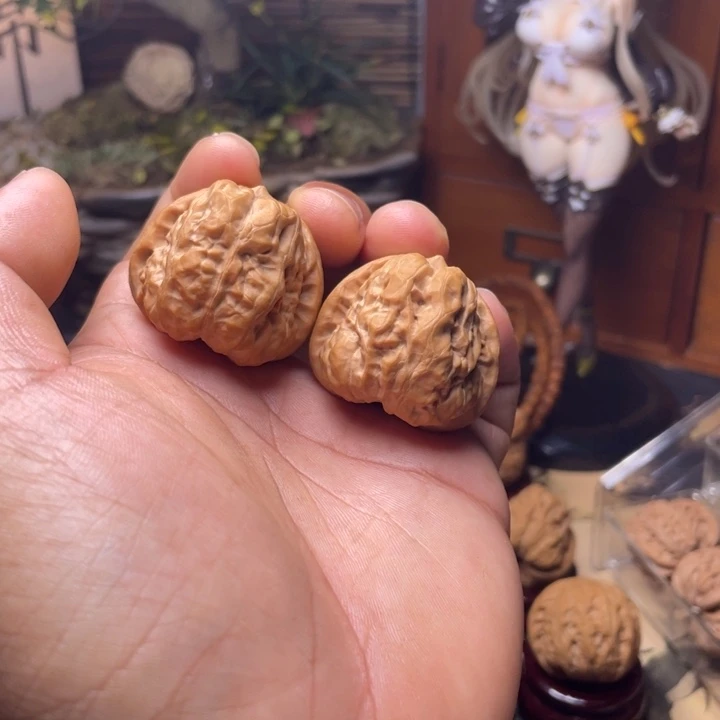 36全品蛤蟆头未打底
