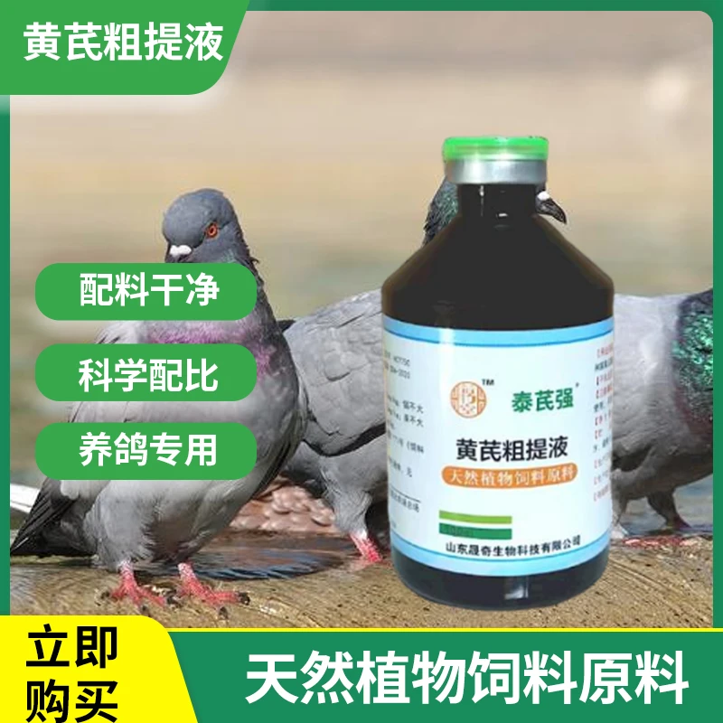 鸽子温独益专用饲料添加剂泰芪强养鸽常备养殖场用品