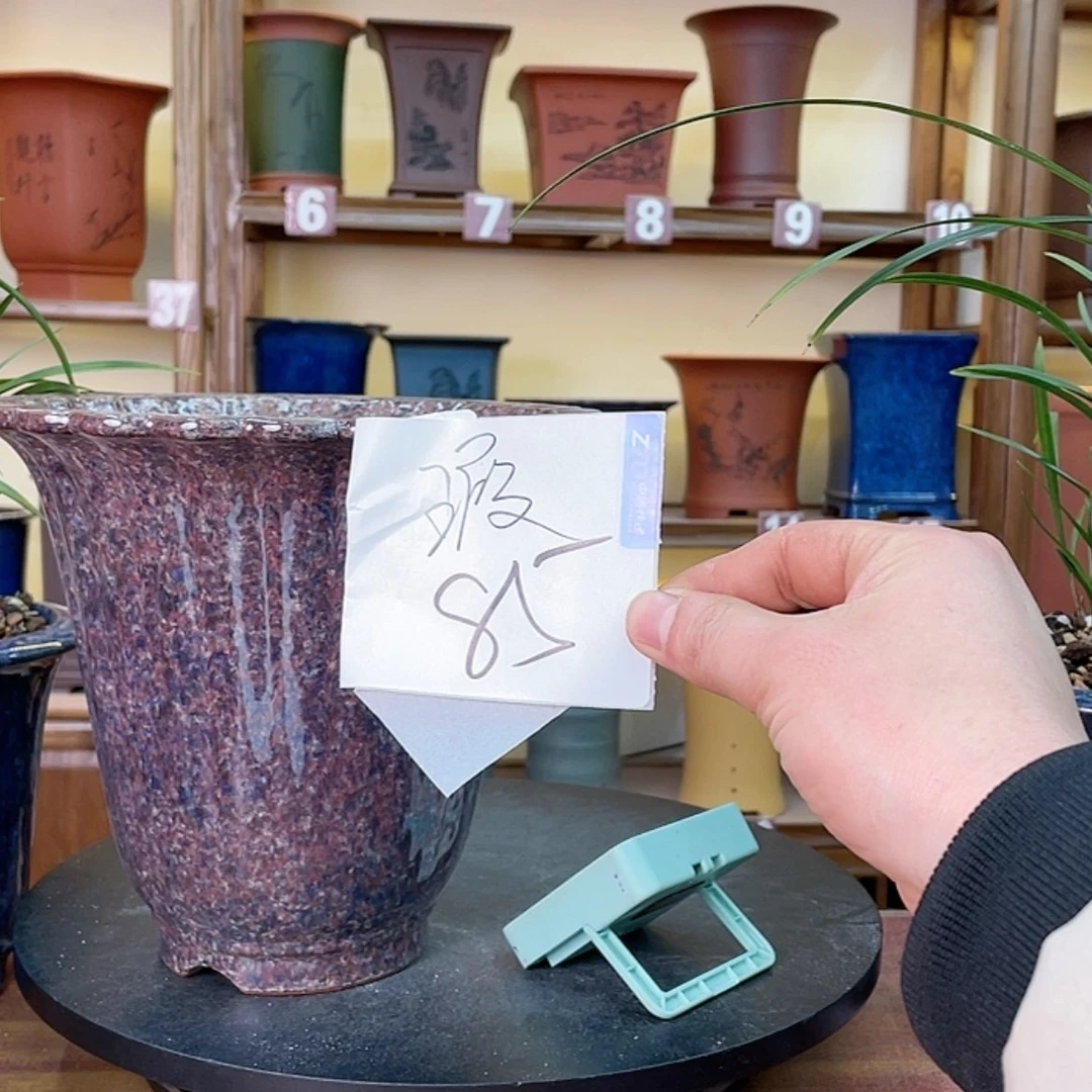 【闪购商品】紫砂花盆S****）兰花445554486555555555