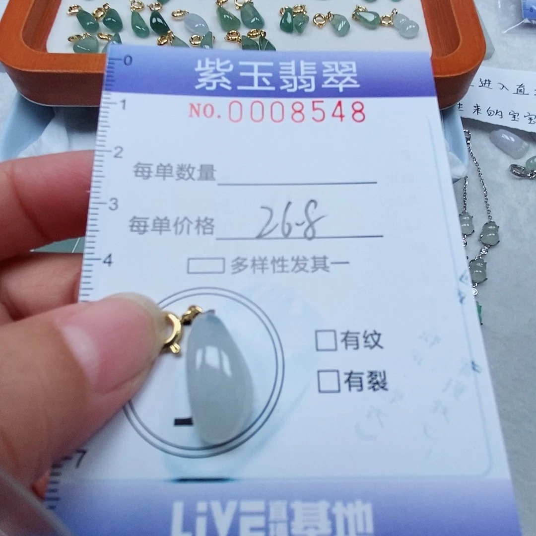 颈饰未镶嵌翡翠冰胶随行