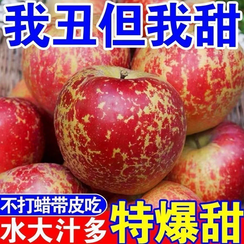 2025J云南头茬新果 高原苹果 丑苹果 脆甜多汁新鲜当季水果2-5斤