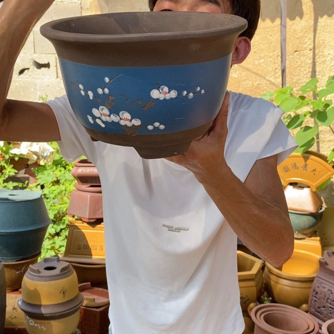 紫砂紫砂紫砂紫砂