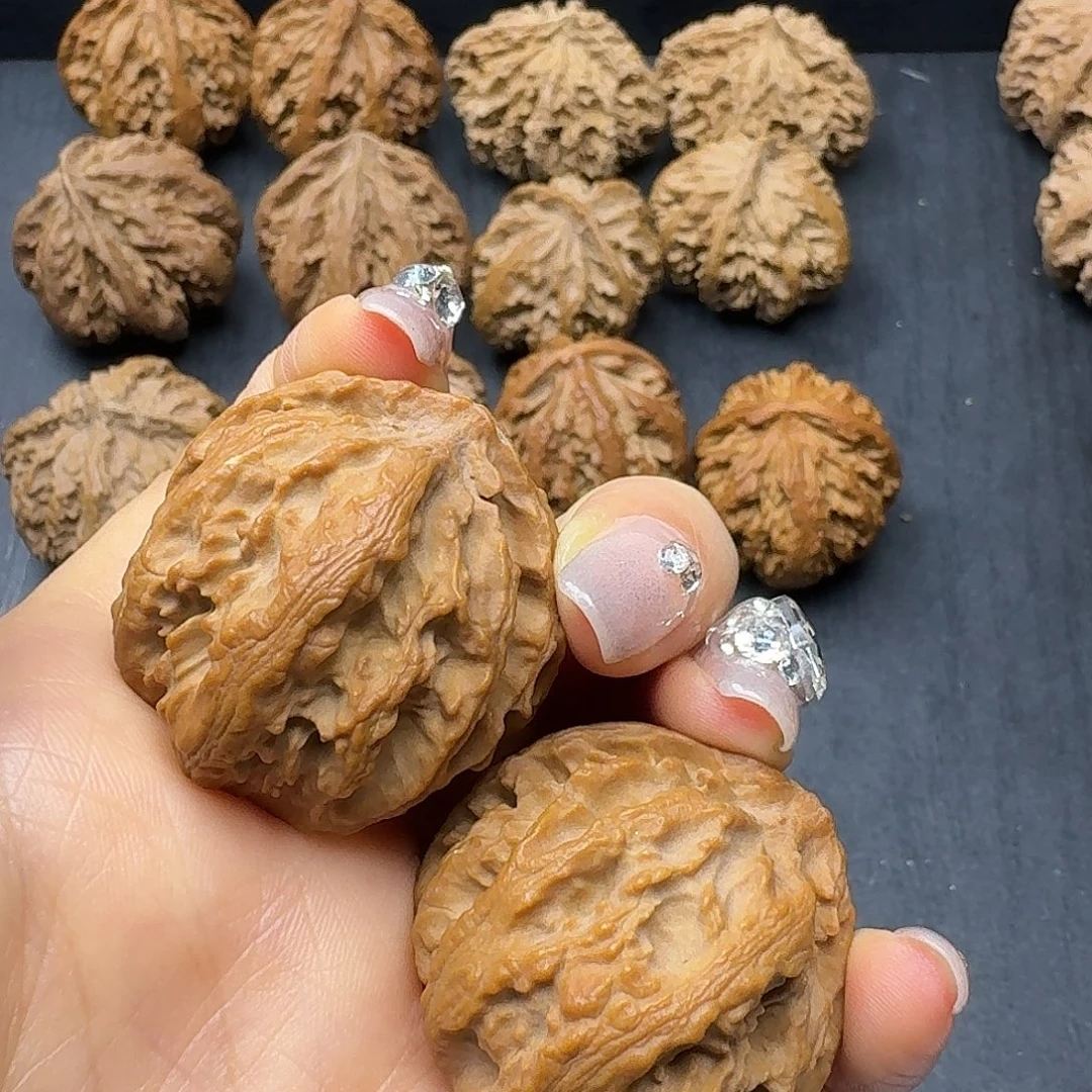 桃木突突突突突突突