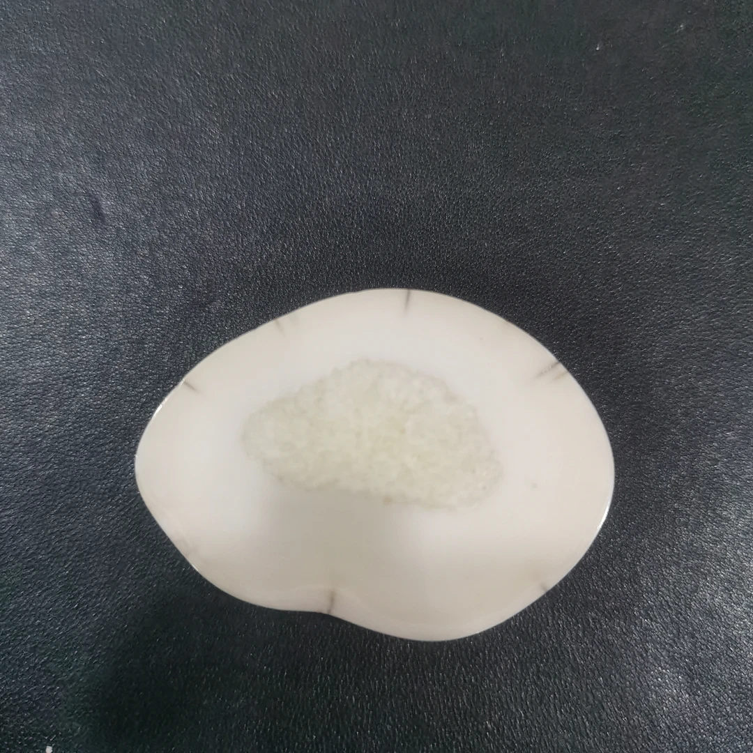 猛犸虬饼子kk862