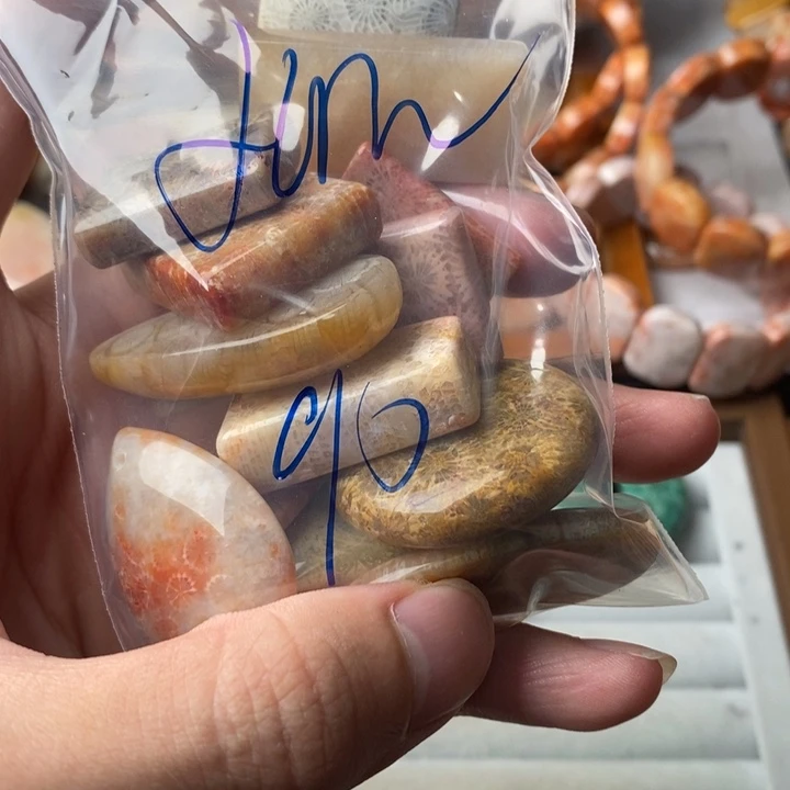 Y****硅化玉未镶嵌珊瑚玉