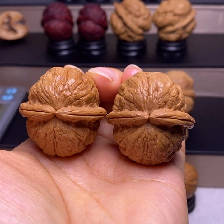 文玩核桃把件金龟玉甲38