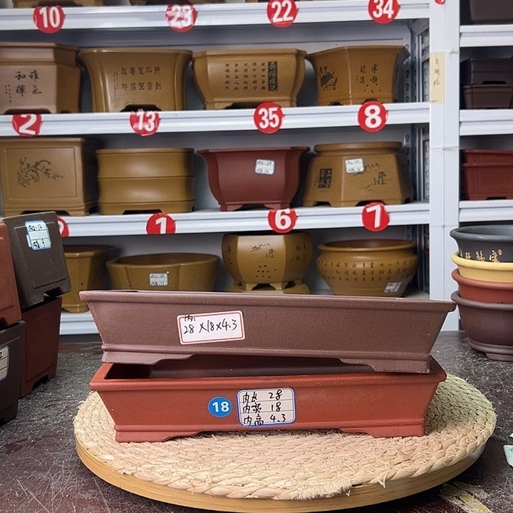 紫砂花盆蛇年大吉