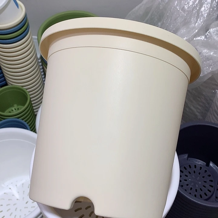 四季口26高24米黄12个无托