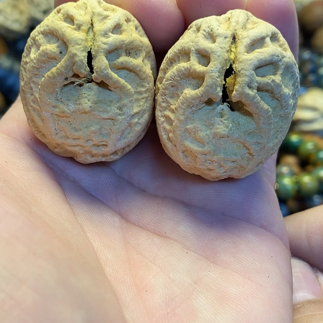 吊坠橄榄核25元发三对