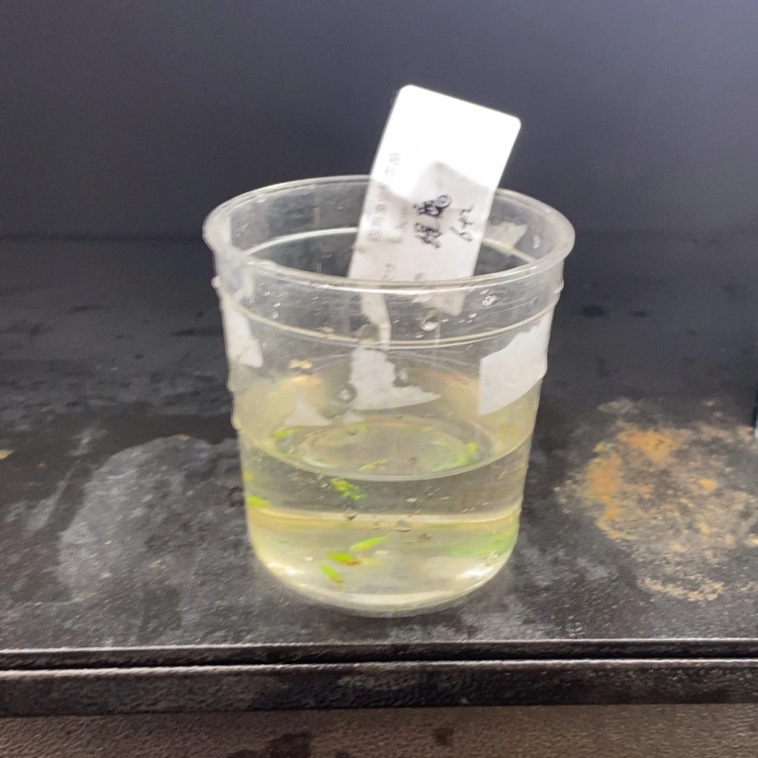 斗鱼包活不包损所见即所得158