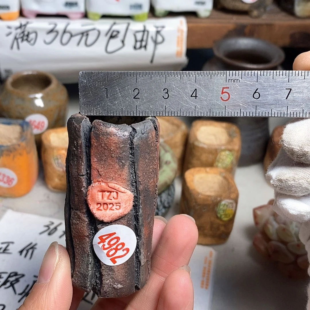 红陶拍5送一个小