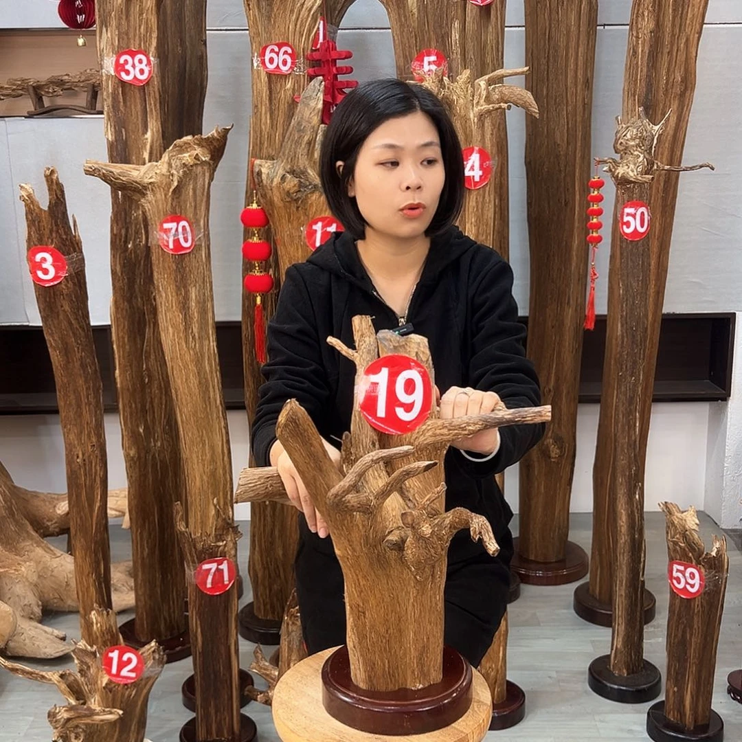 沉香摆件陈****坊沉香摆件