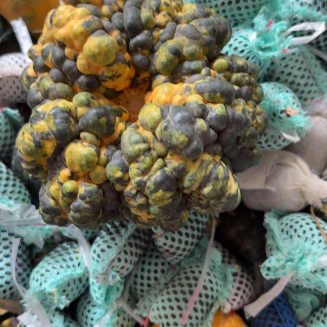 ****脚青皮葫芦不退不换