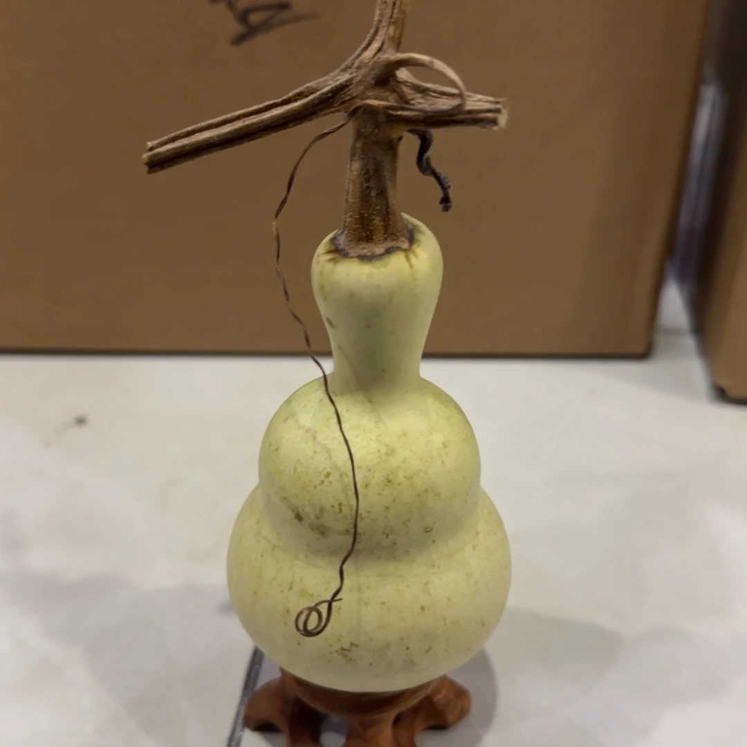 青皮不包成，，，，，，，，，，，，
