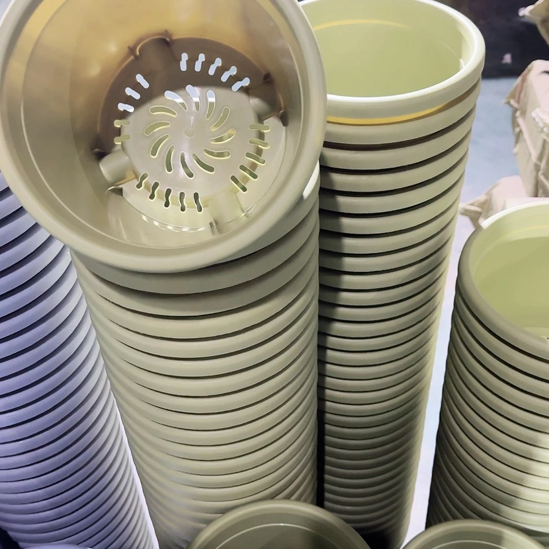 树脂四季3号10个果绿