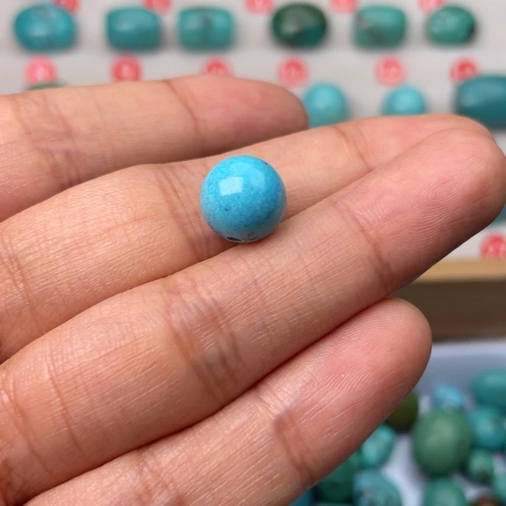 纳菲粉丝专属福利