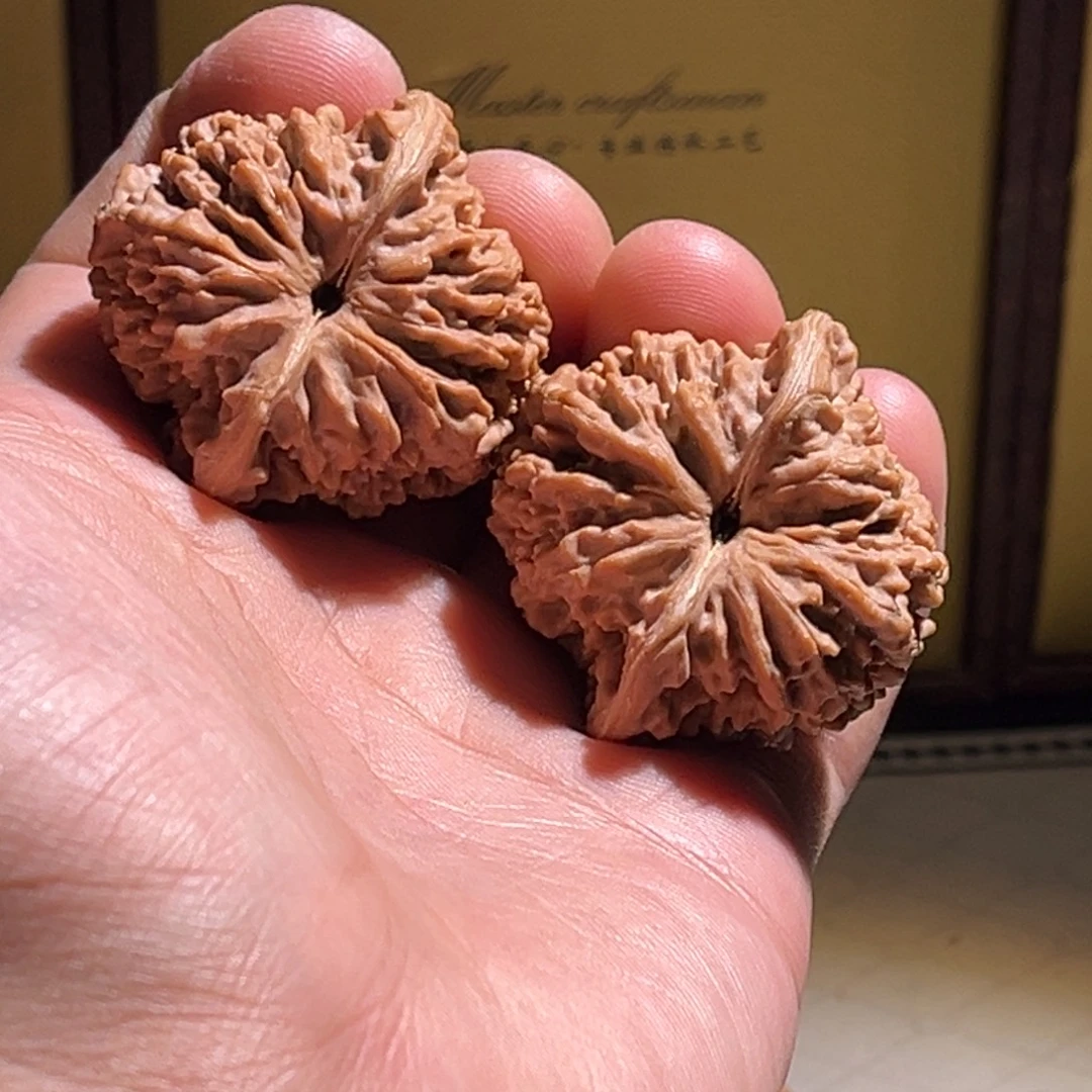 用***名全品41星星。全品。