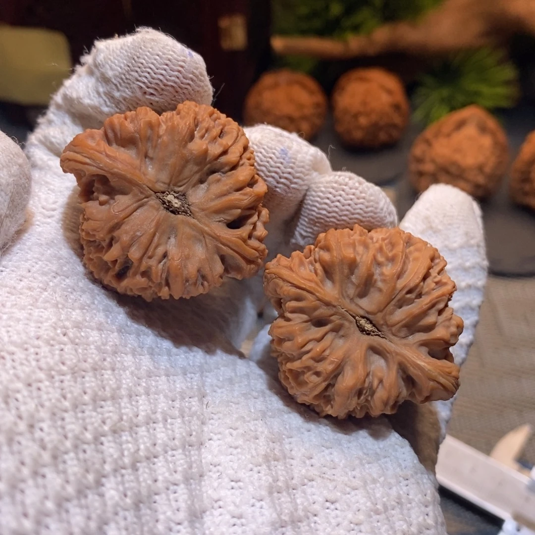 40尺 全品无修白茬 南疆石