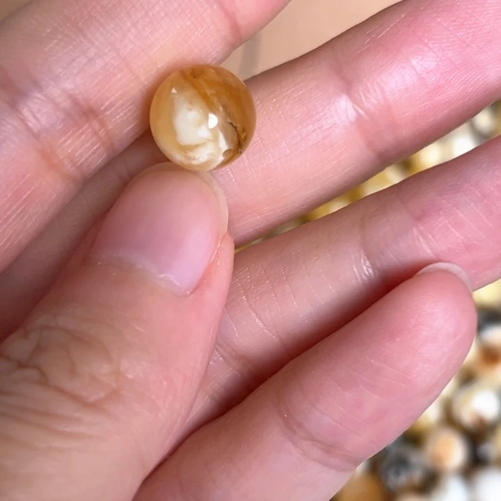 未镶嵌蜜蜡裸石10.3mm一个