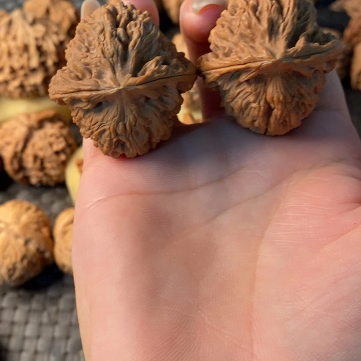 小*子南疆石南疆石南疆石40差尺