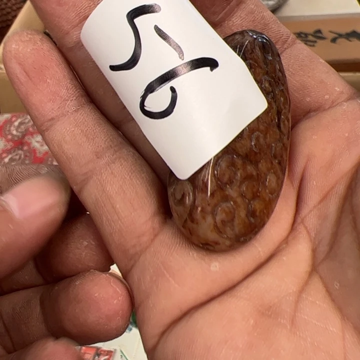 璇***笛茶宠今天晚上吃什么呢56