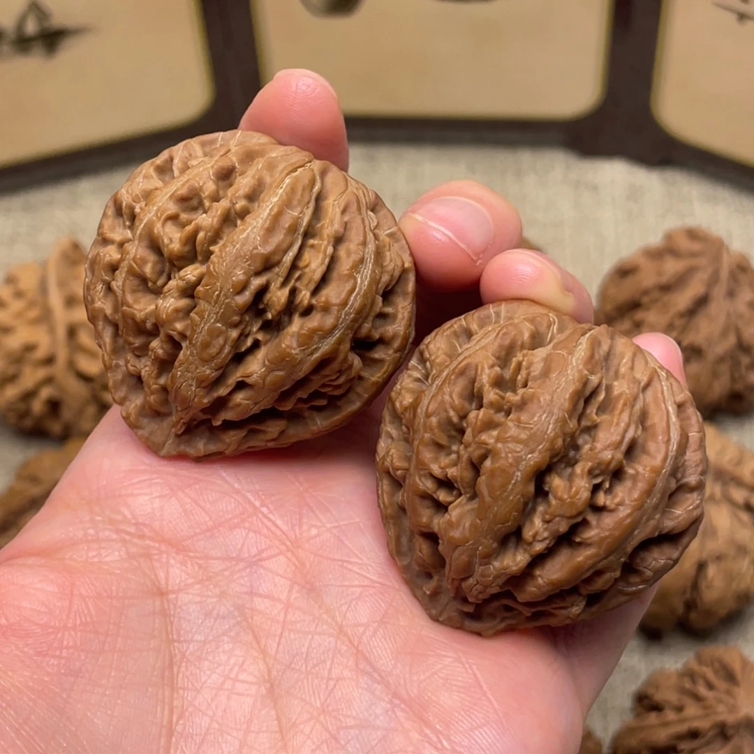 大***）核桃秦岭核桃35号