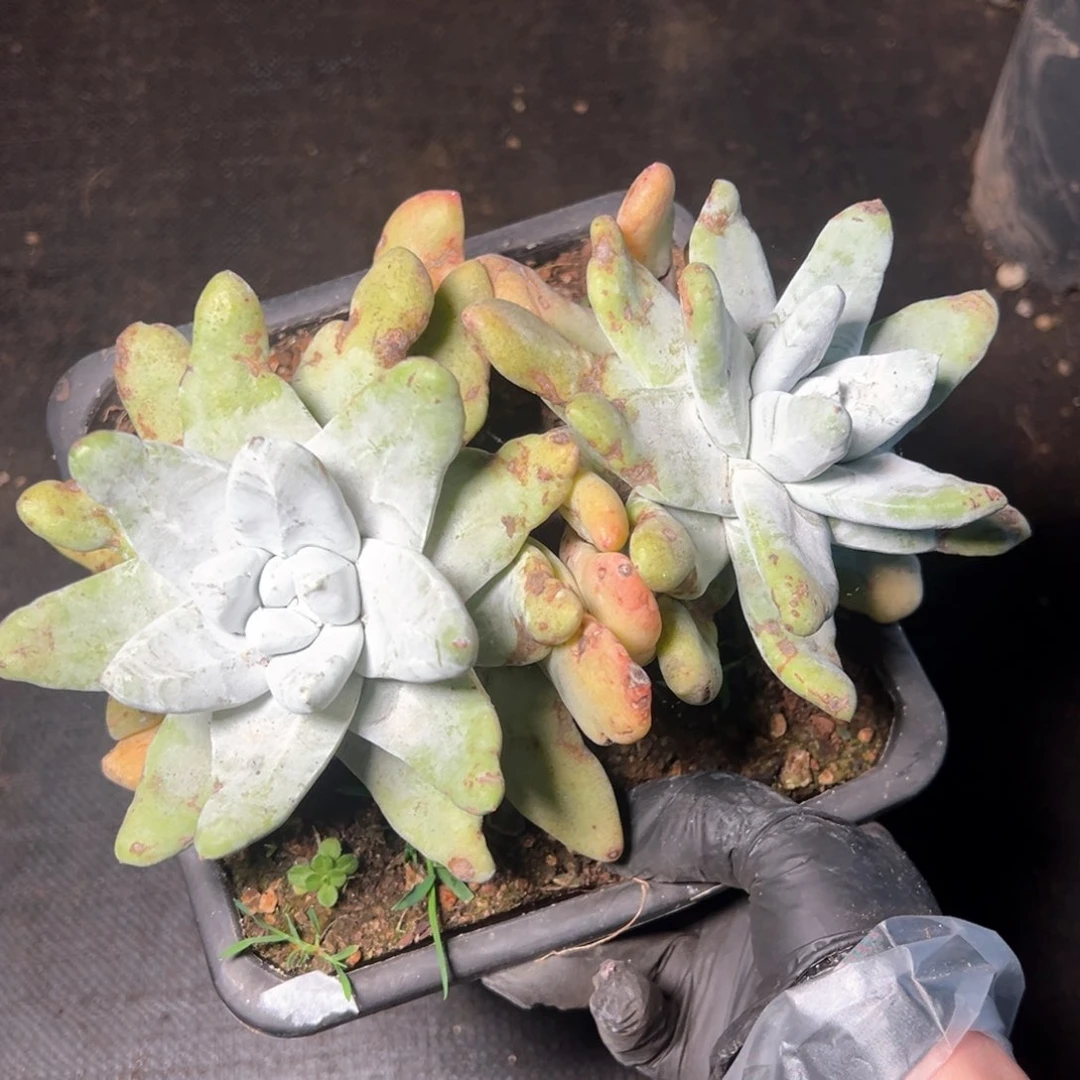 6671哈哈哈哈哈哈哈哈