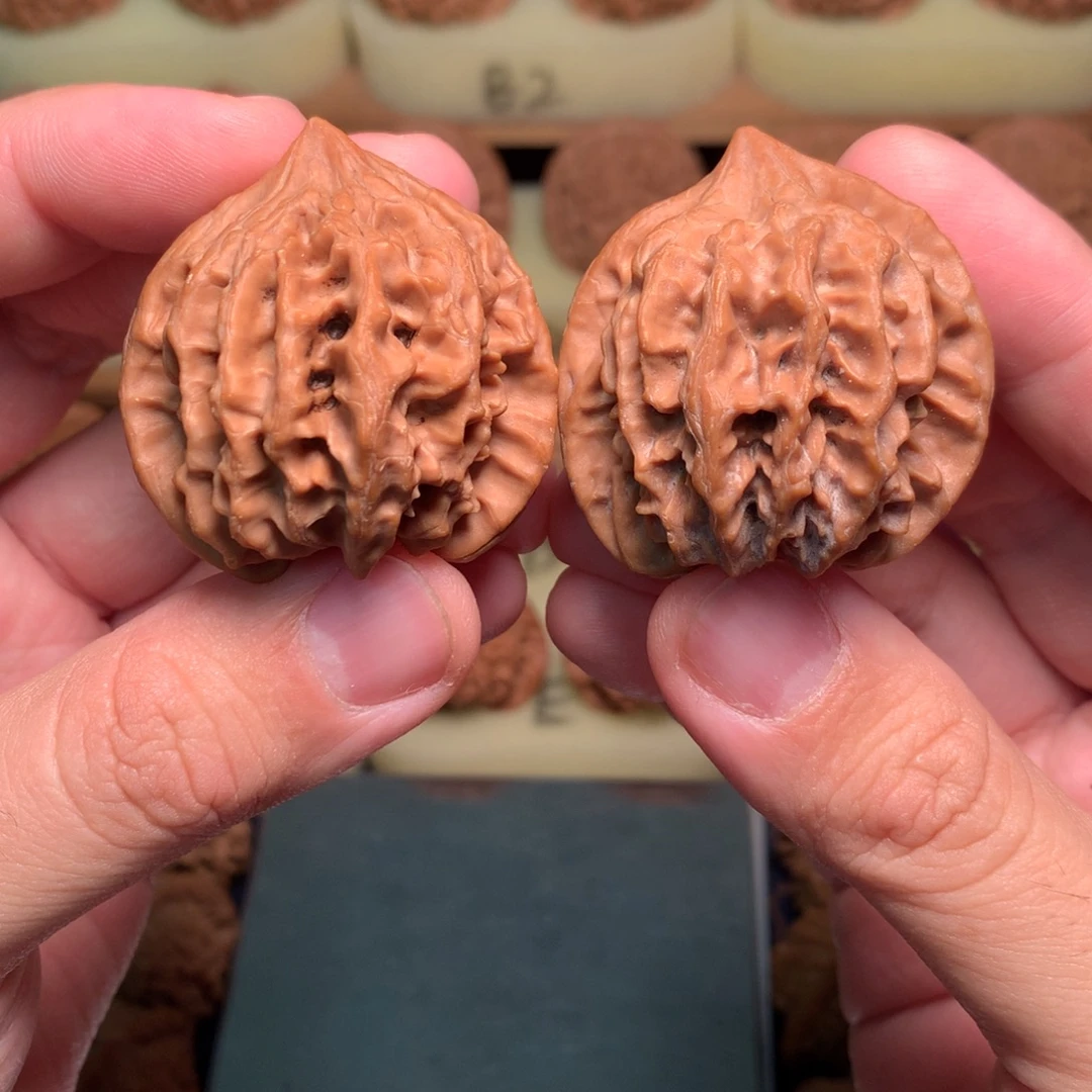 吊坠文玩核桃40山地曹大龙全品