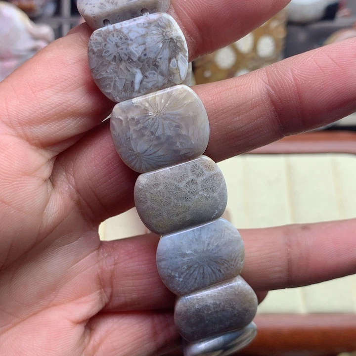 硅化珊瑚（珊瑚玉）颈饰未镶嵌