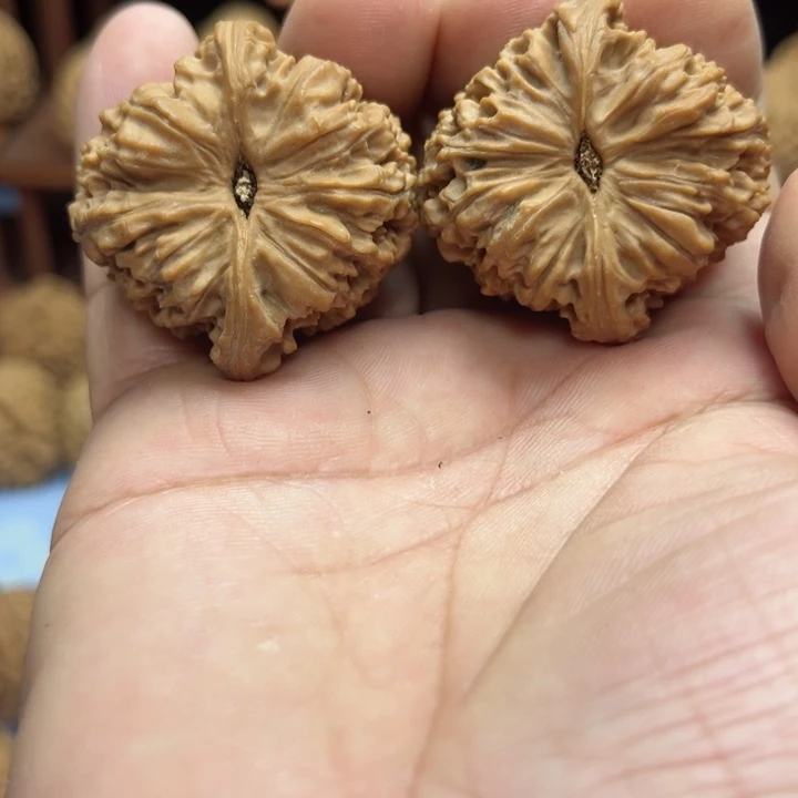 完全开放▞****▖南疆石