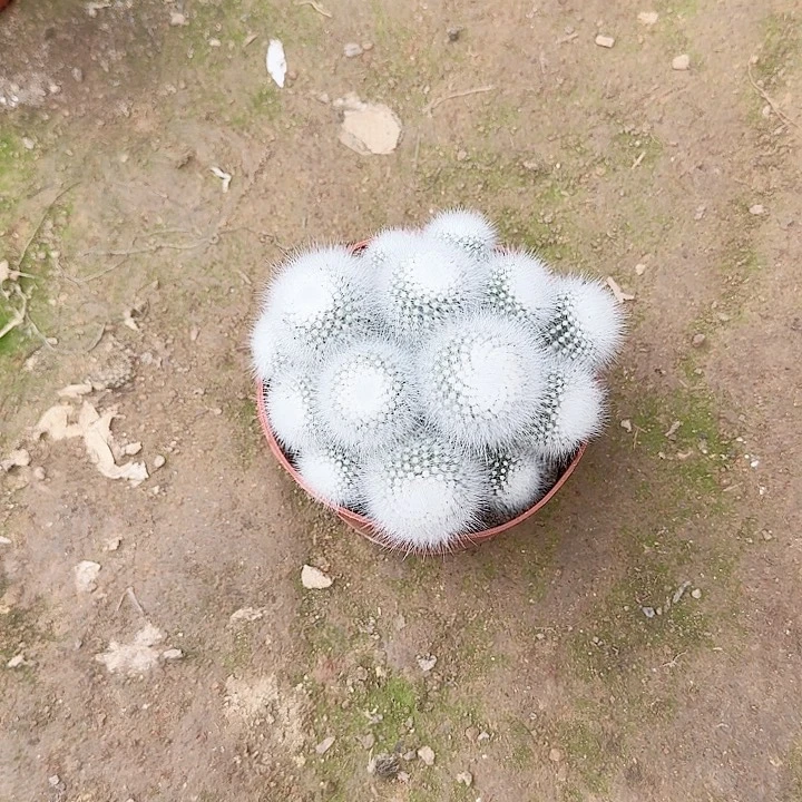初***道哈哈哈哈哈哈哈哈哈哈