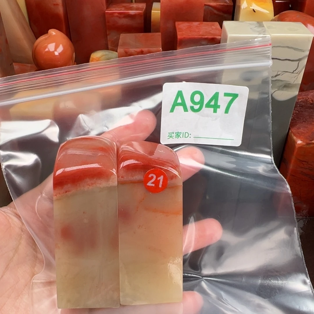 老挝石印石竹*老挝石