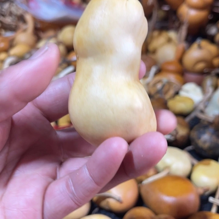 窈***窕葫芦葫哈哈哈哈哈哈哈哈