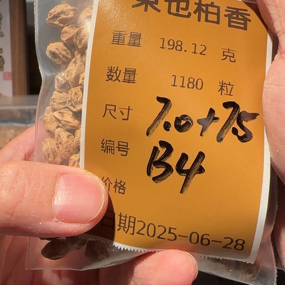 柏香籽/百香籽吊坠B4