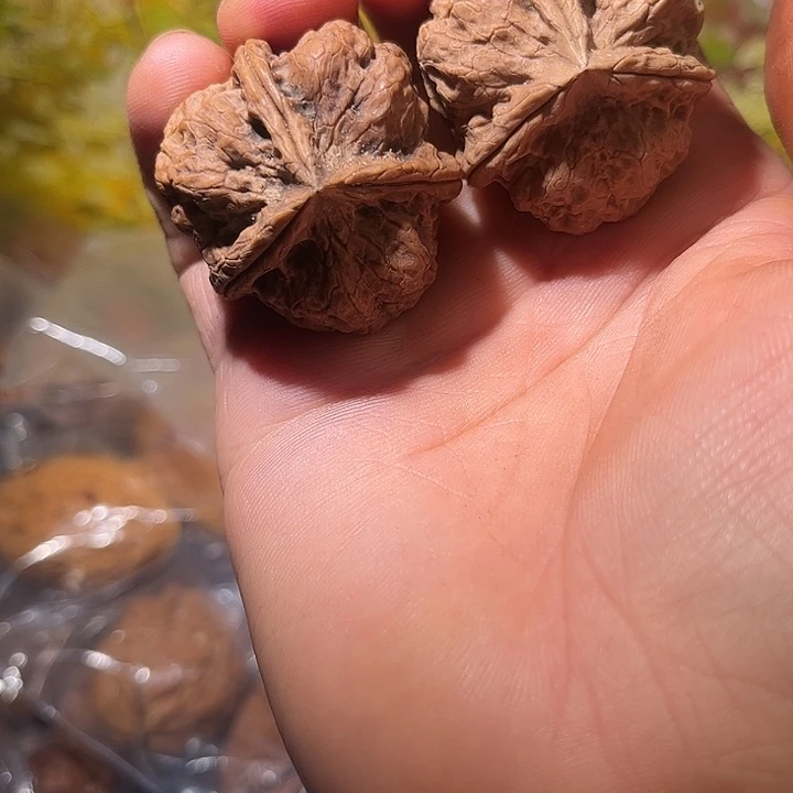文玩核桃吊坠滇西37